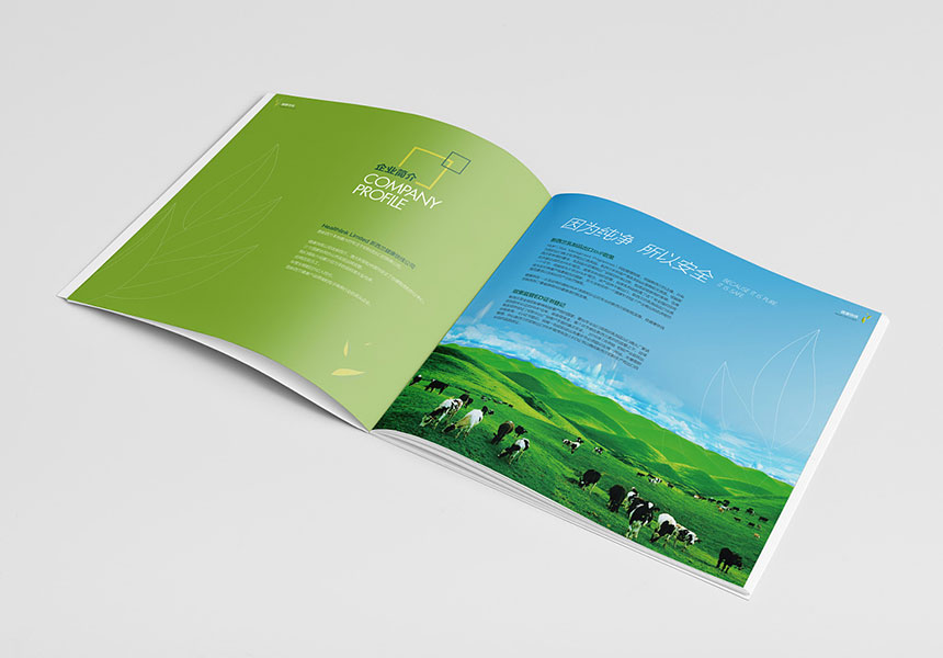东莞画册设计公司_品牌广告公司20年宣传册设计经验